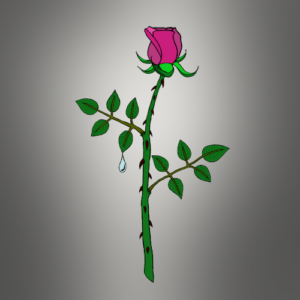 flat coloured rose pic 500p
