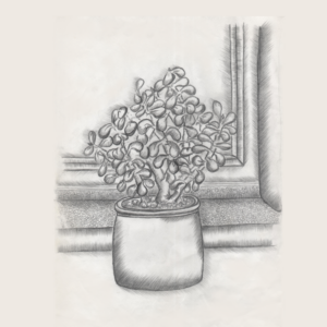 sketchyjade nft